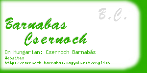 barnabas csernoch business card